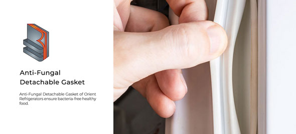 Right Image Banner